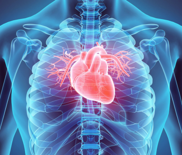 Cardiology & Cardiac Surgery