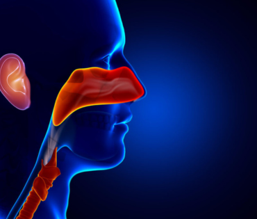 ENT (Ear, Nose & Throat)