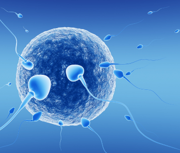 Fertility & Reproductive Medicine