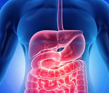 Gastroenterology & HepatologyGastroenterology & Hepatology